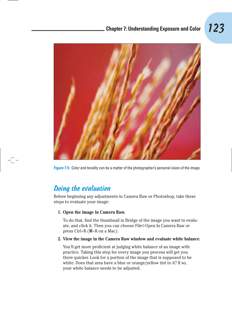 image for page Camera Raw with Photoshop For Dummies