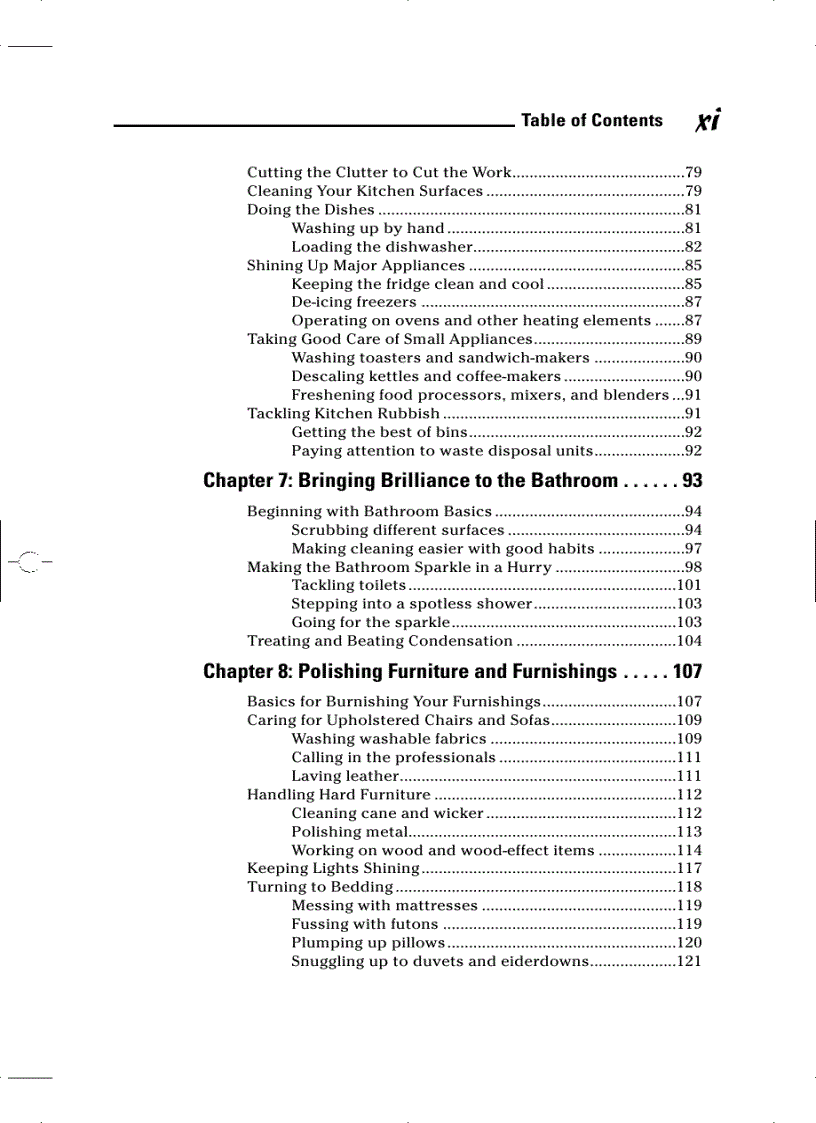 image for page Cleaning Stain Removal for Dummies For Dummies