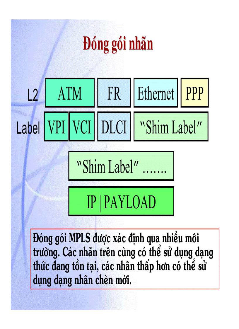 image for page Giáo trình mạng MPLS
