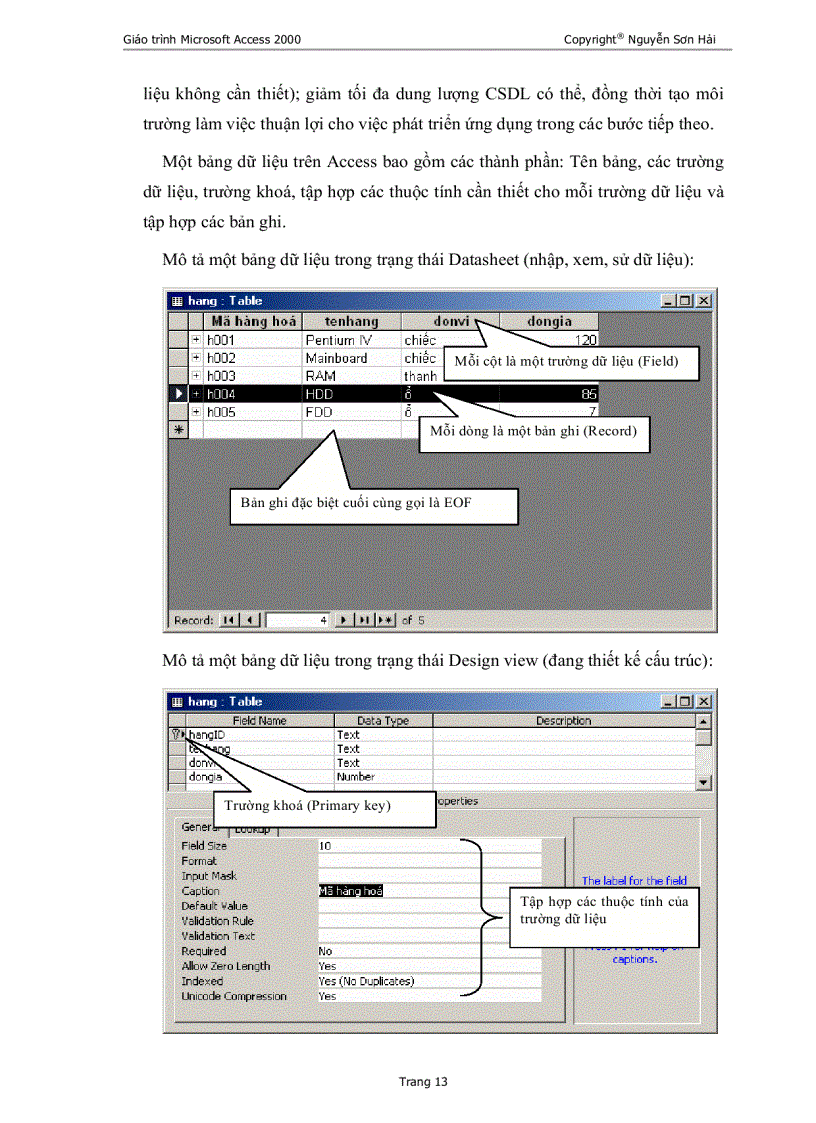 image for page Giáo Trình MS Access 2000