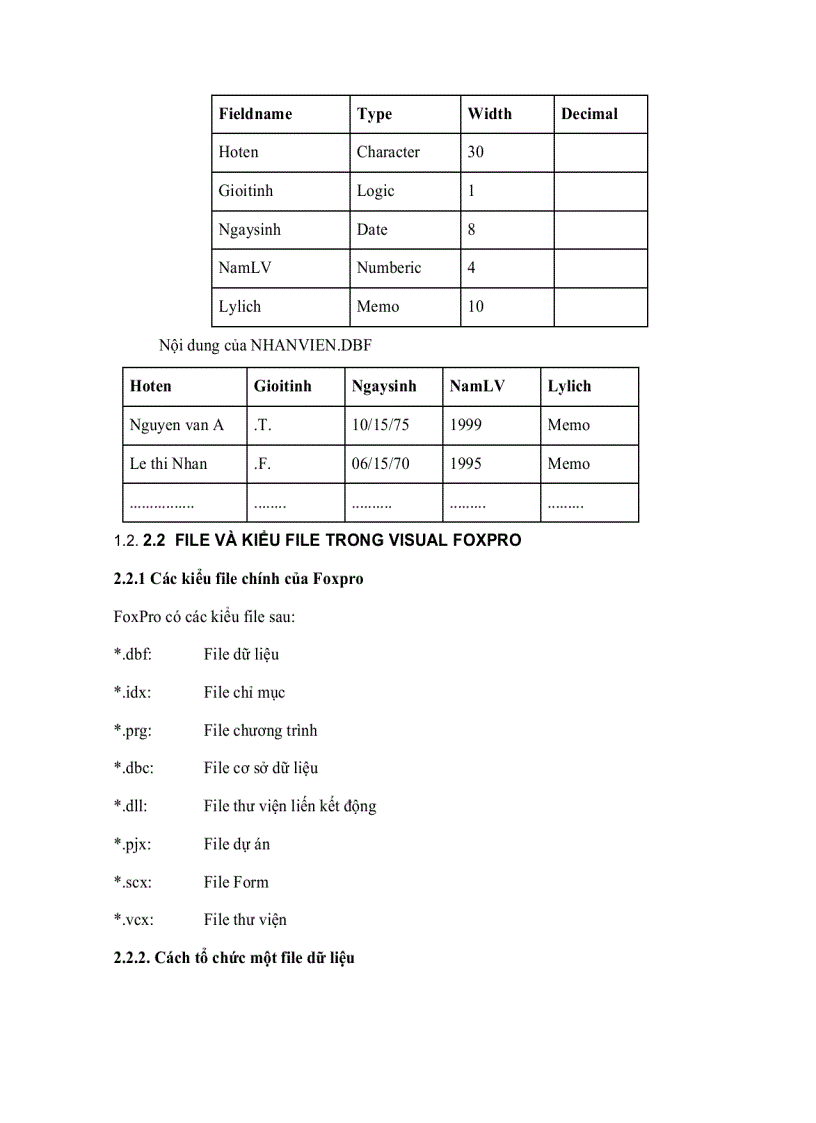 image for page Giáo Trình Visual Foxpro