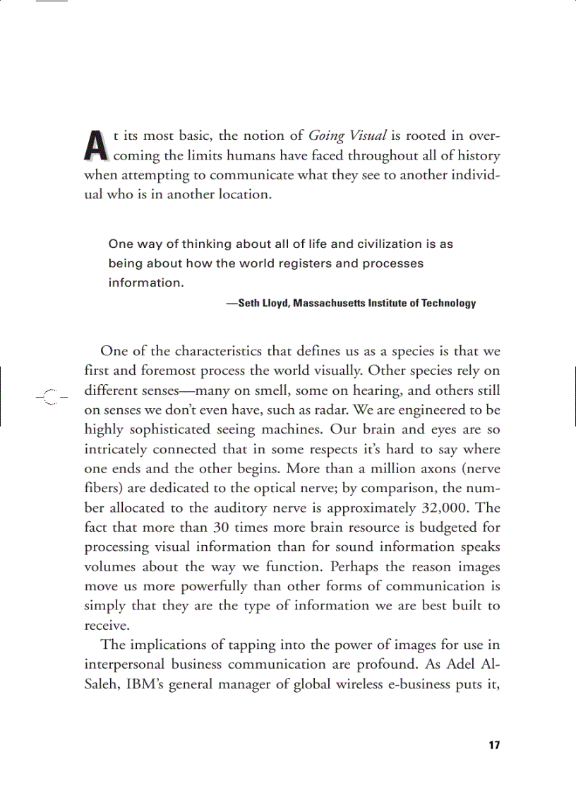 image for page Going Visual Using Images to Enhance Productivity Decision Making and Profits