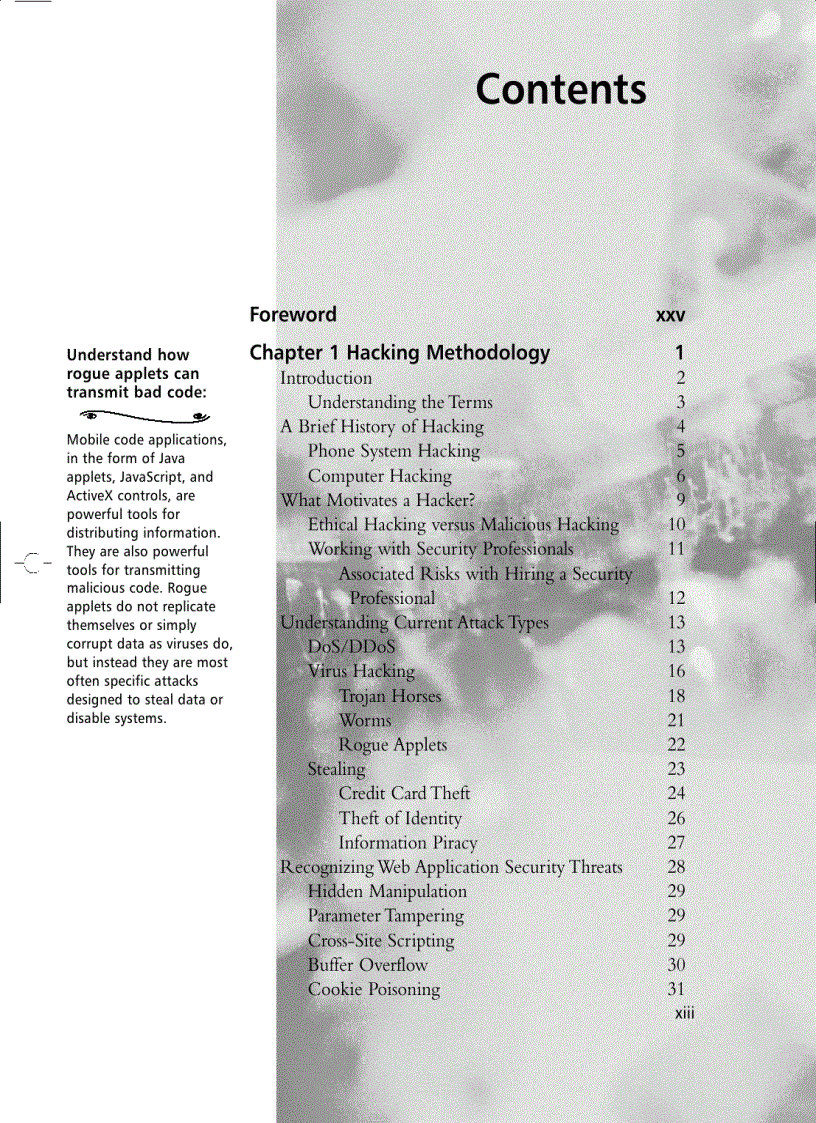 image for page Hack Proofing Web Applications