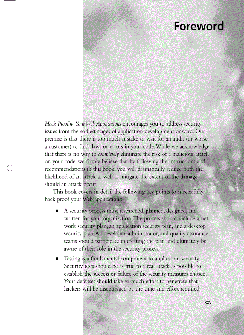 image for page Hack Proofing Web Applications