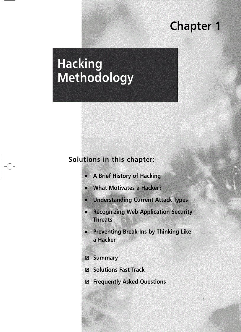 image for page Hack Proofing Web Applications