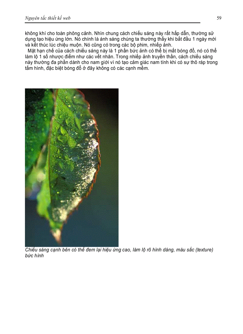 image for page Nguyên tắc thiết kế web