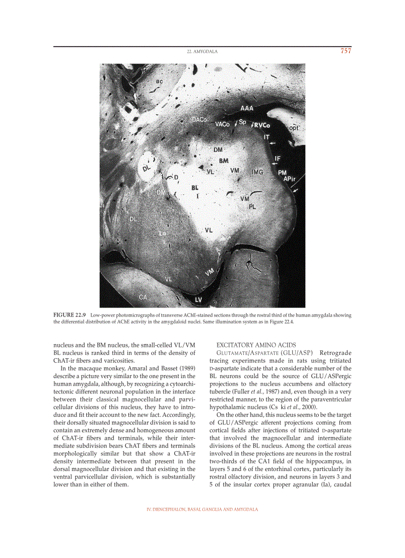 image for page The Human Nervous System Second Edition