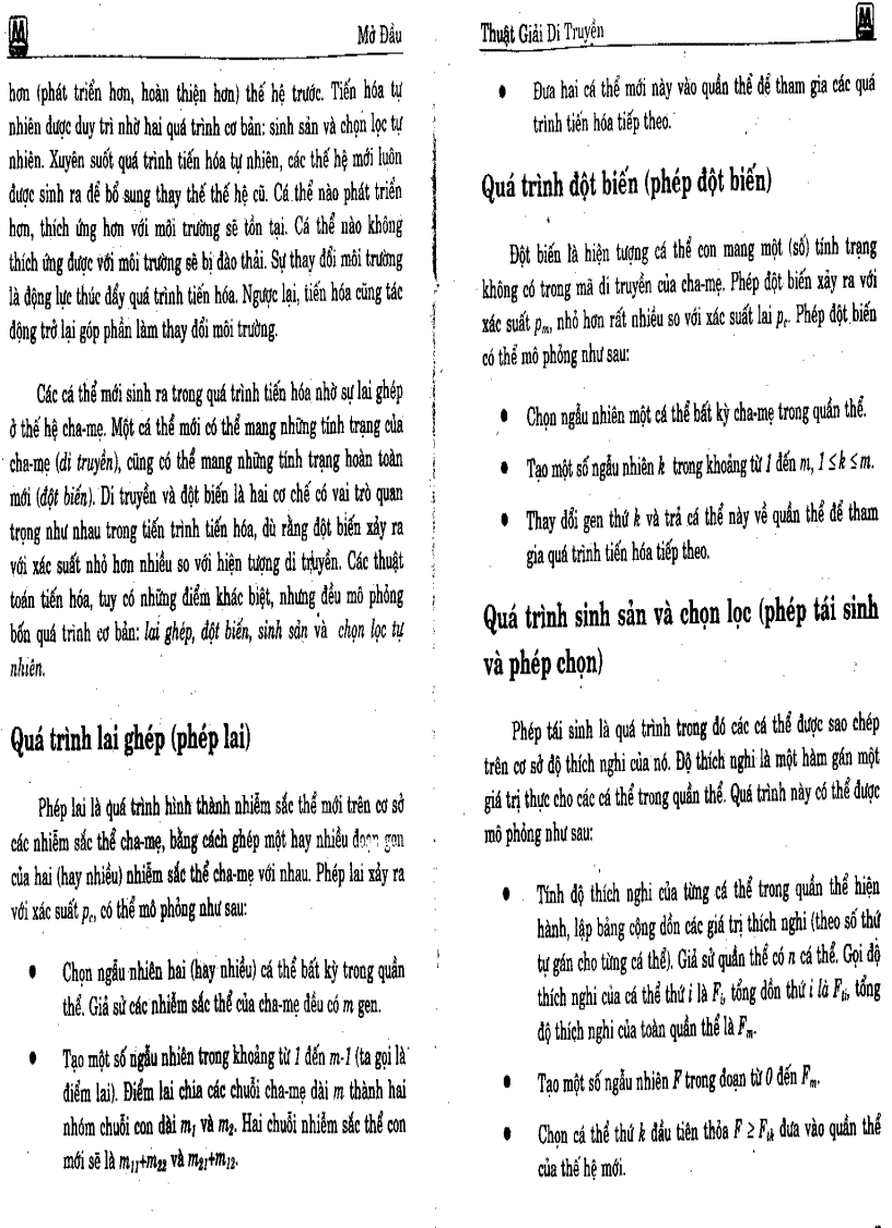 image for page Trí tuệ nhân tạo lập trình tiến hóa