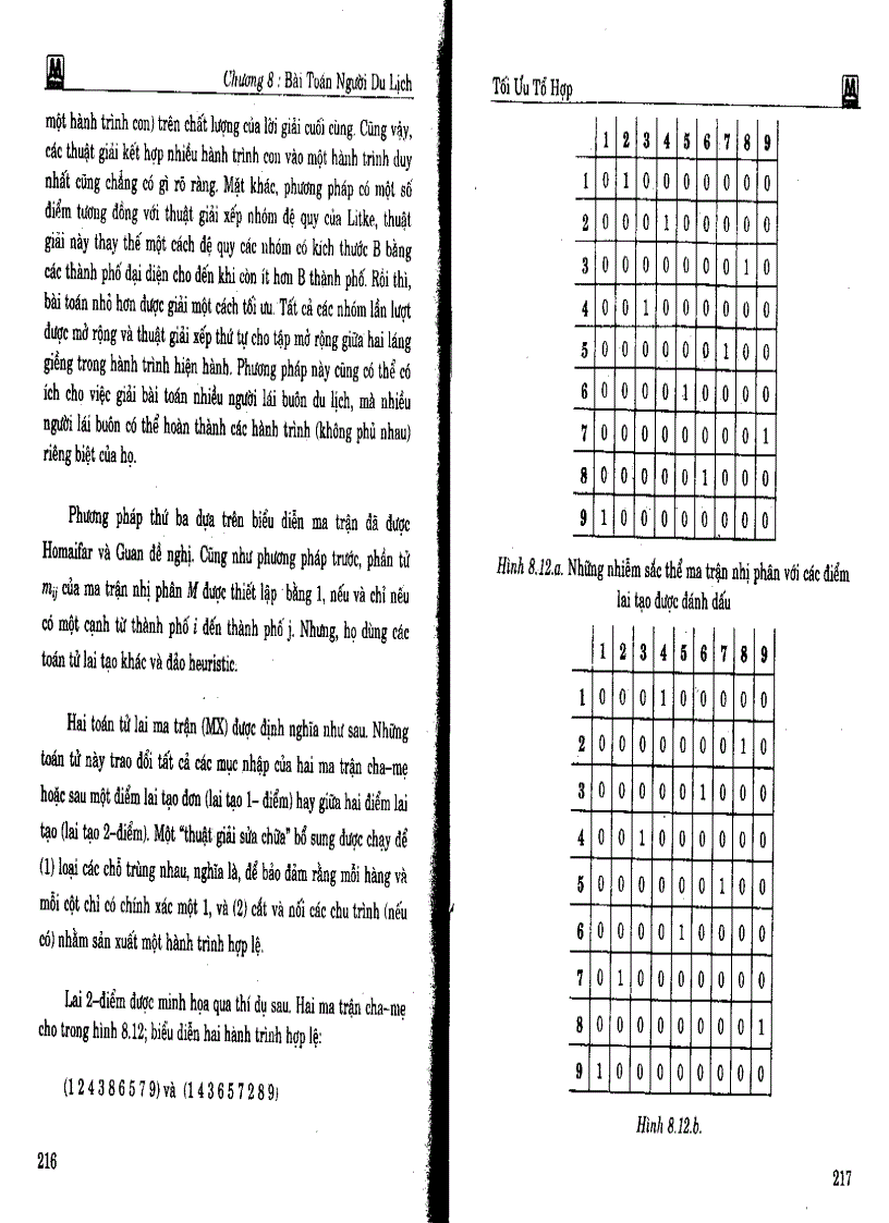 image for page Trí tuệ nhân tạo lập trình tiến hóa