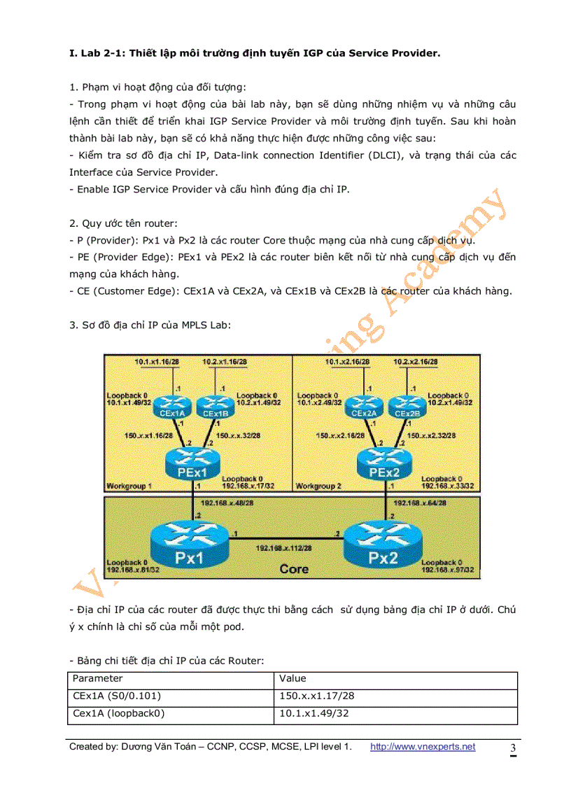 VnExperts MPLS Lab Guide Version 1 0