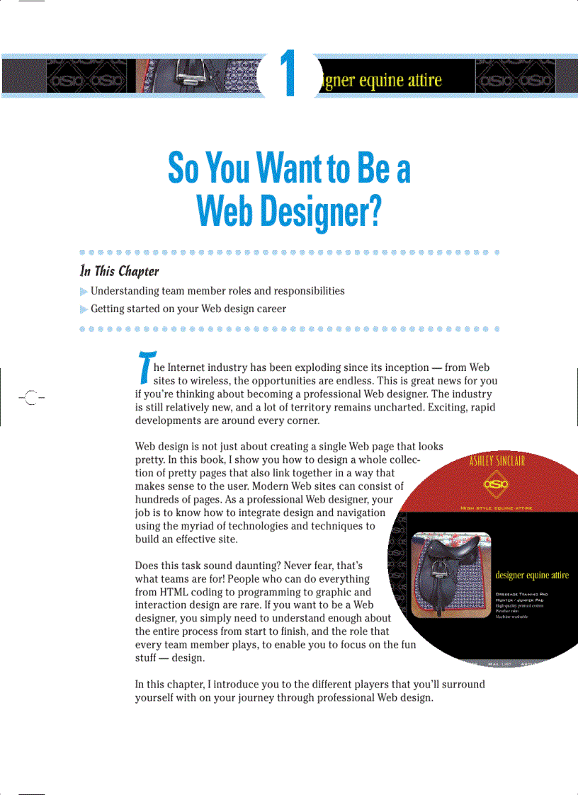 image for page Web Design 2nd Edititon