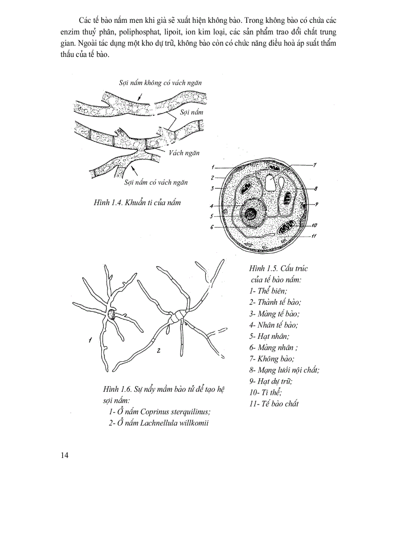 image for page Các quá trình và thiết bị công nghệ sinh học trong công nghiệp