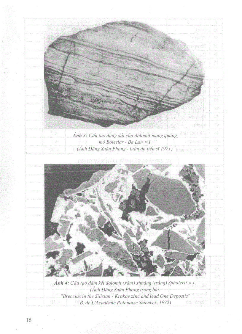 image for page Cẩm nang địa chất Tìm kiếm