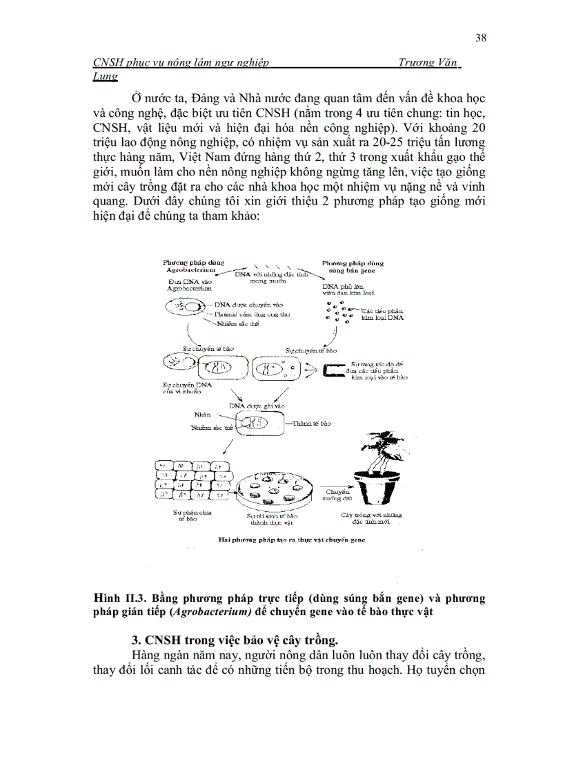 image for page Công nghệ sinh học trong sản xuất và đời sống