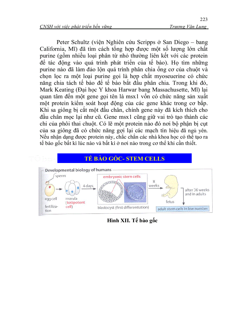 image for page Công nghệ sinh học trong sản xuất và đời sống