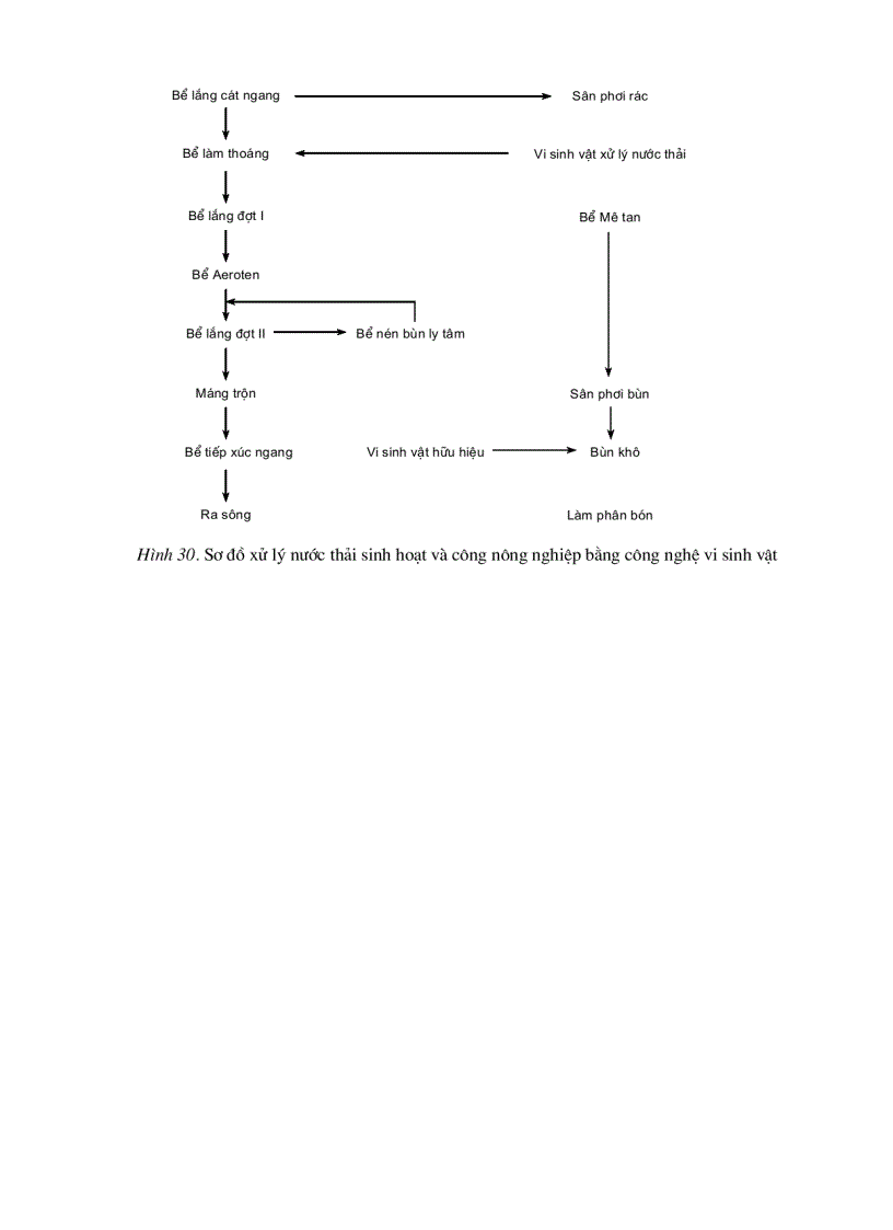 image for page Công nghệ vi sinh vật trong SX nông nghiệp và xử lý ô nhiểm môi trường