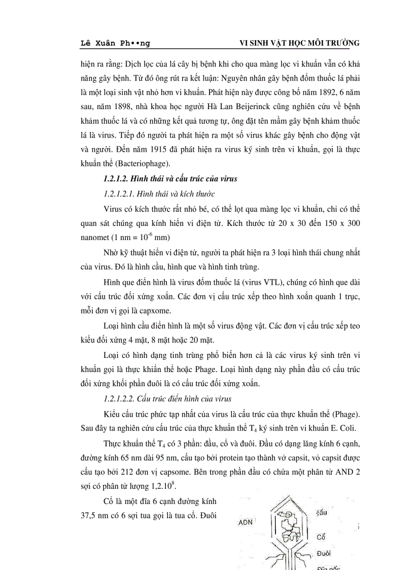 image for page Vi Sinh Vật Học Môi Trường