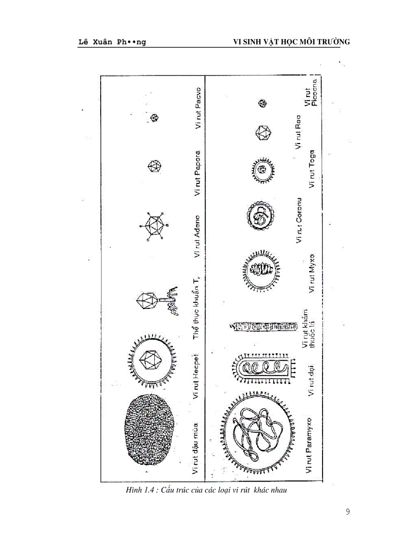 image for page Vi Sinh Vật Học Môi Trường