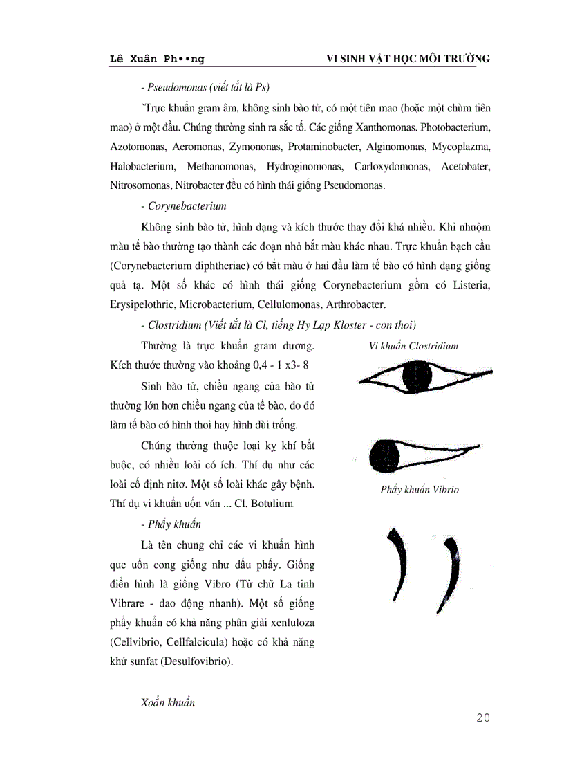 image for page Vi Sinh Vật Học Môi Trường