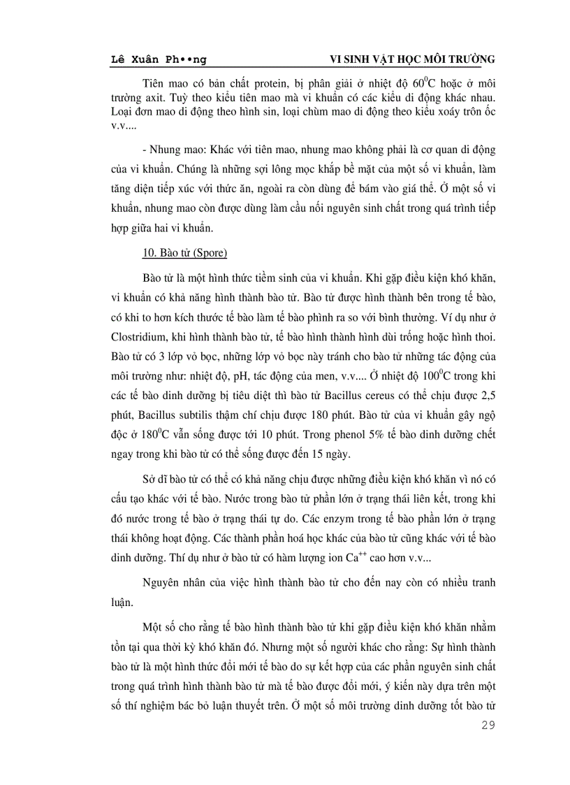 image for page Vi Sinh Vật Học Môi Trường