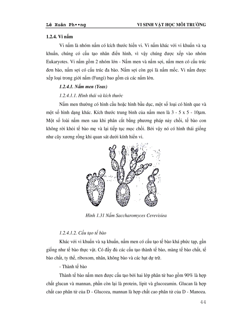 image for page Vi Sinh Vật Học Môi Trường