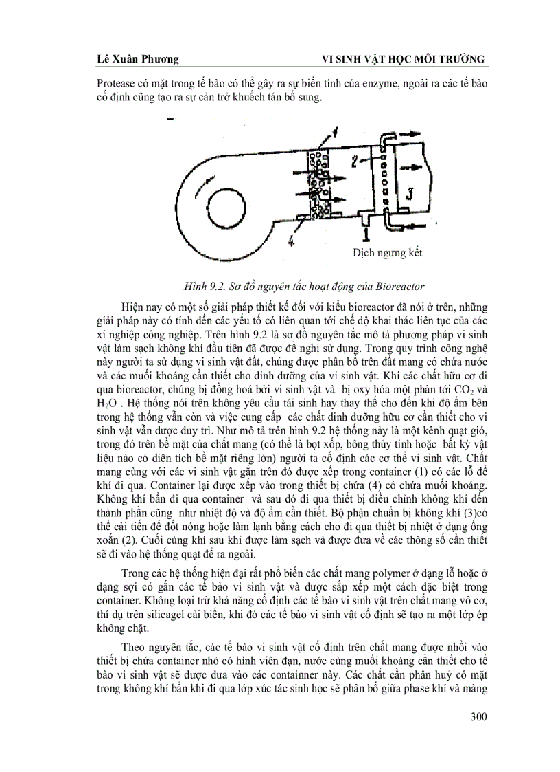 image for page Vi Sinh Vật Học Môi Trường