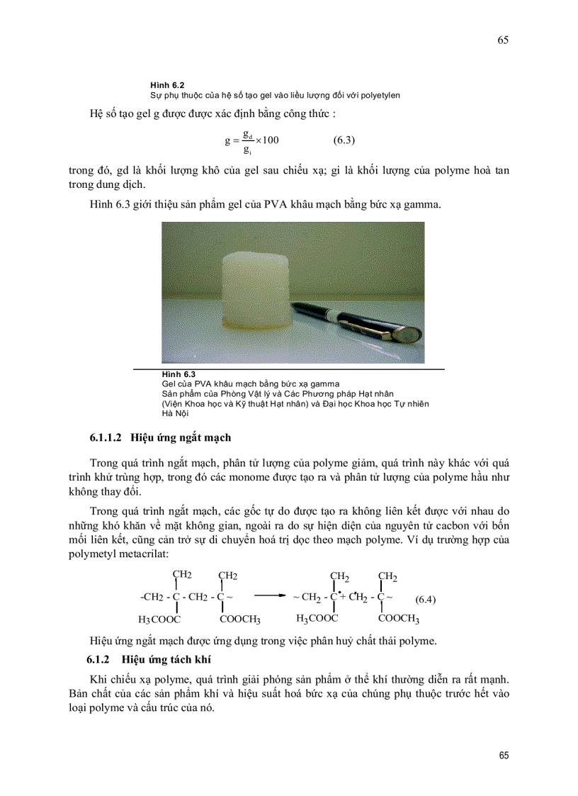 image for page Xử lý bức xạ và cơ sở của công nghệ bức xạ