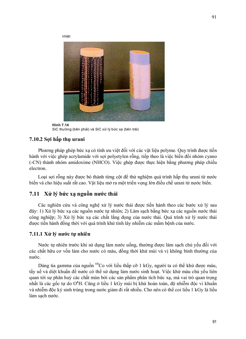 image for page Xử lý bức xạ và cơ sở của công nghệ bức xạ