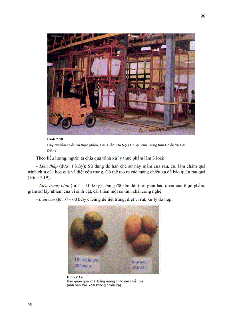 image for page Xử lý bức xạ và cơ sở của công nghệ bức xạ