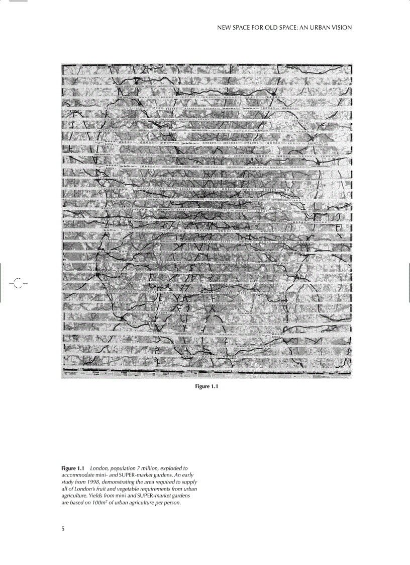 image for page Continuous Productive Urban Landscapes Designing Urban Agriculture for Sustainable Cities