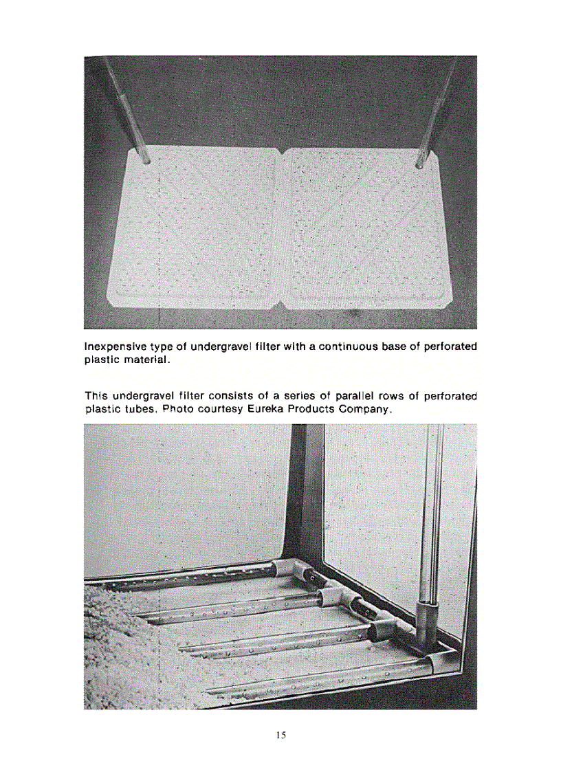 image for page Aquarium Plants Their Identification Cultivation and Ecology