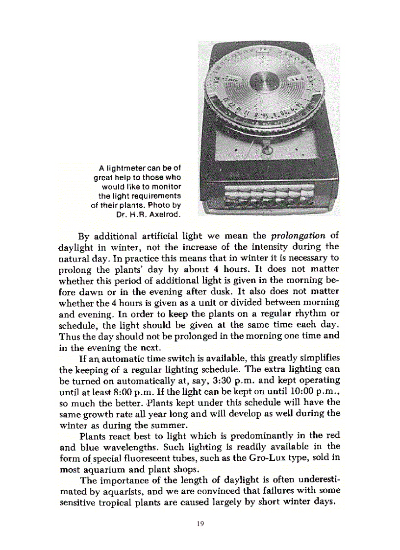 image for page Aquarium Plants Their Identification Cultivation and Ecology