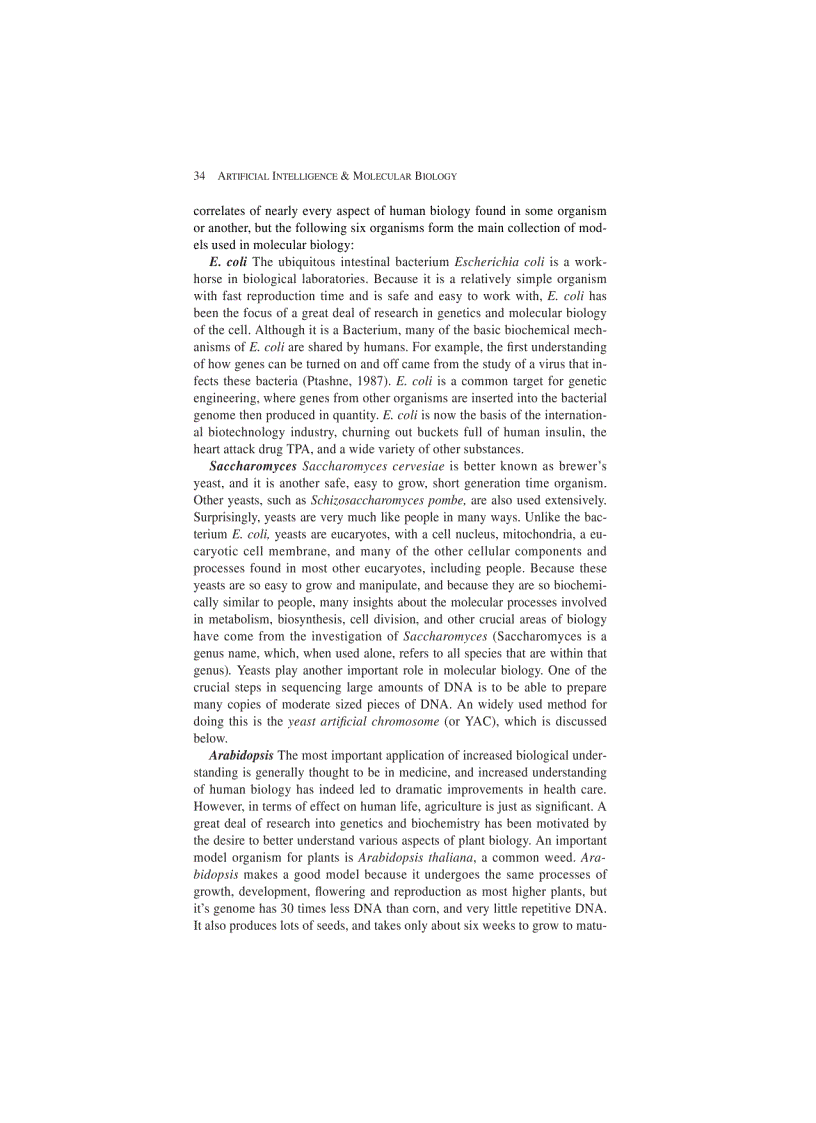 image for page Artificial Intelligence and Molecular Biology