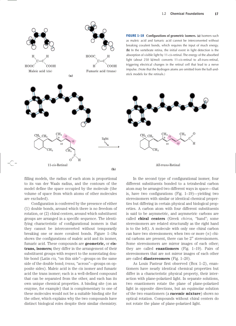 image for page Biochemistry 4ed 2004