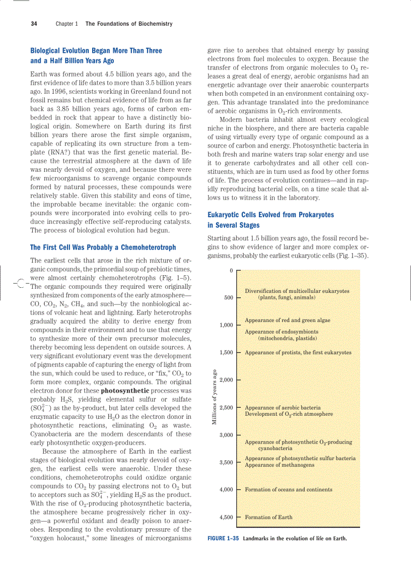 image for page Biochemistry 4ed 2004