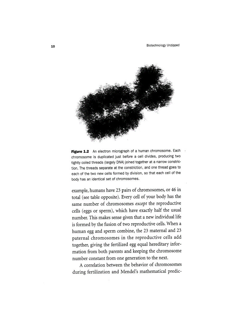 image for page Biotechnology Unzipped Promises And Realities