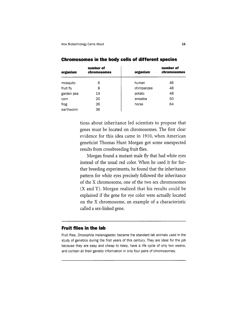 image for page Biotechnology Unzipped Promises And Realities