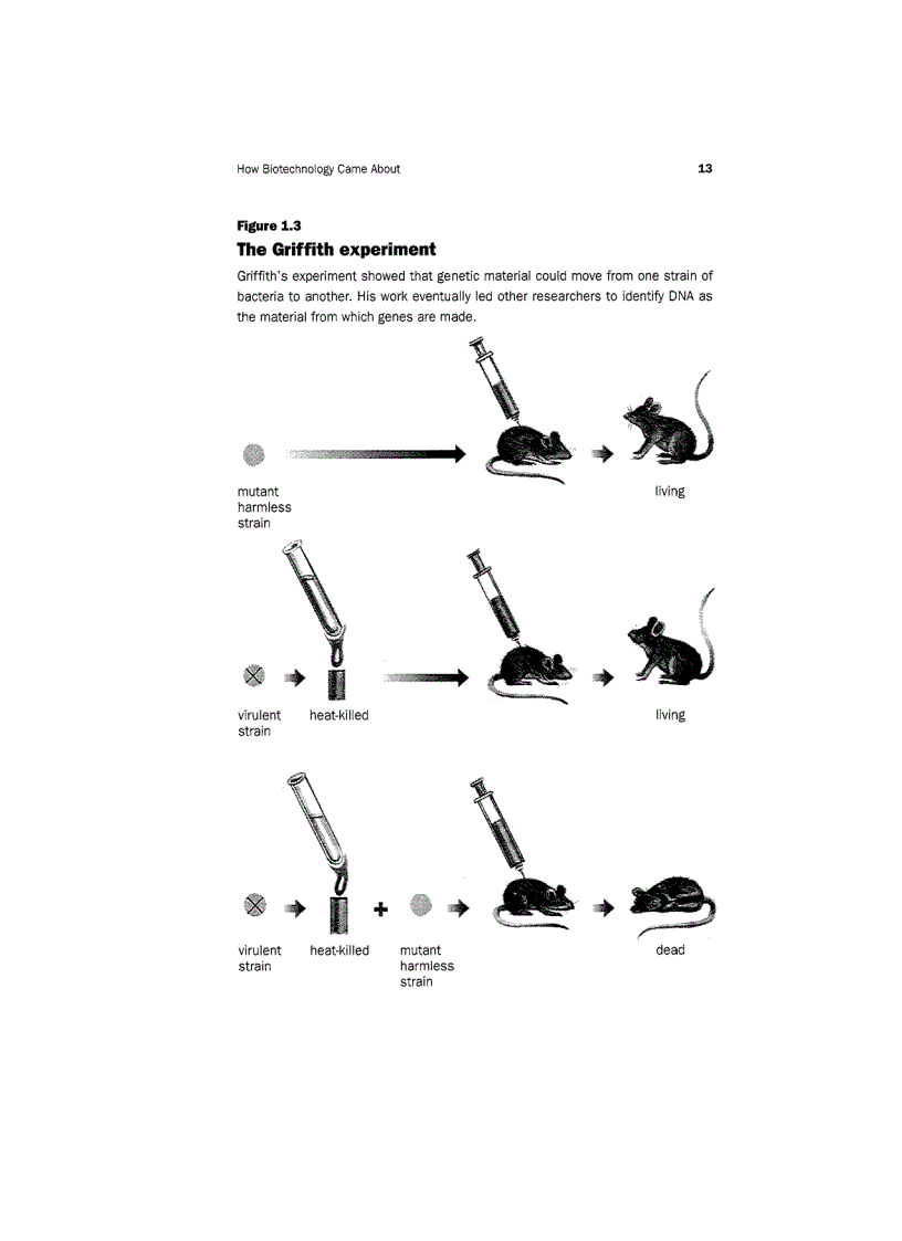 image for page Biotechnology Unzipped Promises And Realities