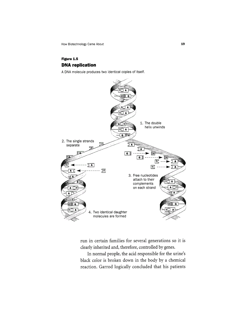 image for page Biotechnology Unzipped Promises And Realities