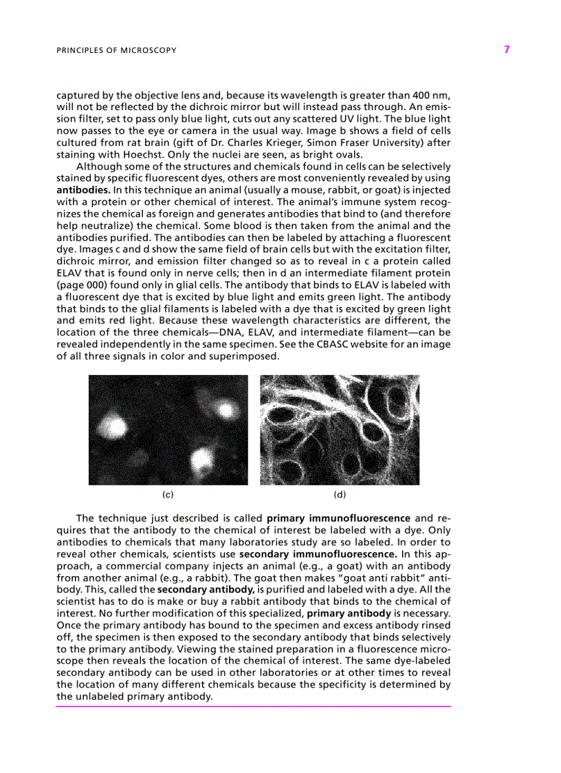 image for page Cell Biology A Short Course 2d ed