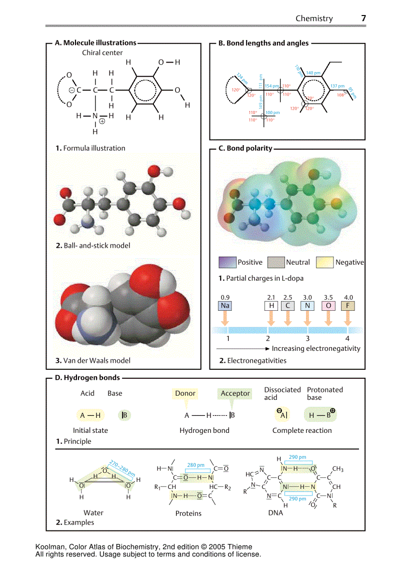 image for page Color Atlas Of Biochemistry 2d ed