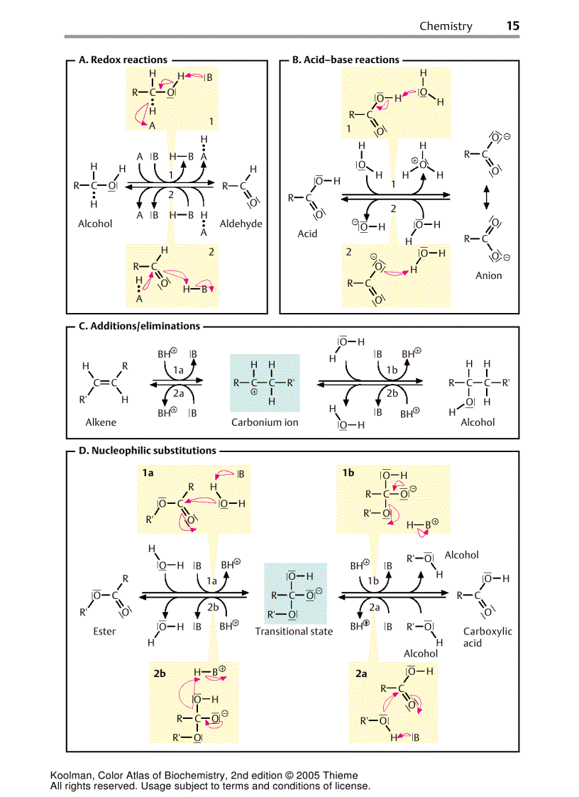 image for page Color Atlas Of Biochemistry 2d ed