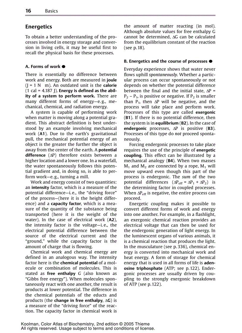 image for page Color Atlas Of Biochemistry 2d ed