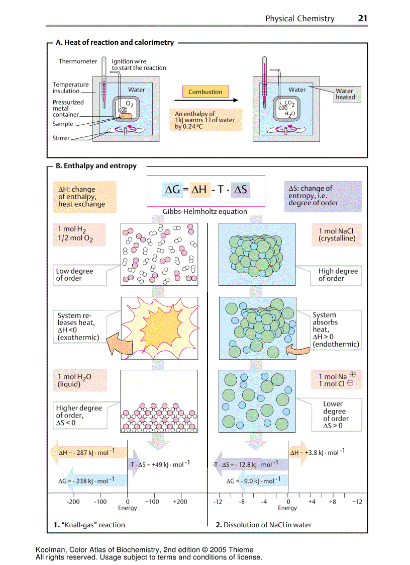 image for page Color Atlas Of Biochemistry 2d ed
