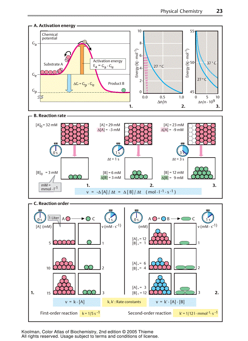image for page Color Atlas Of Biochemistry 2d ed