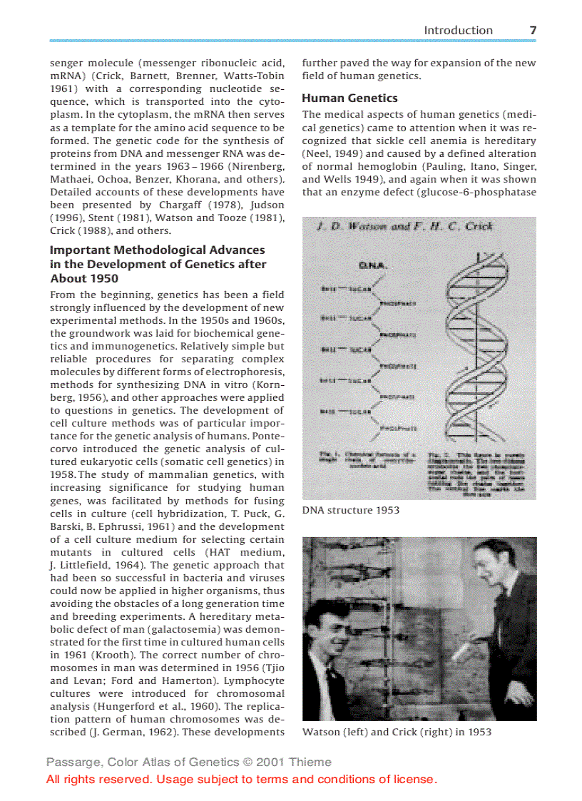 image for page Color Atlas of Genetics 2nd ed