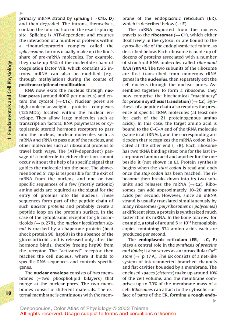 image for page Color Atlas of Physiology 5th Ed
