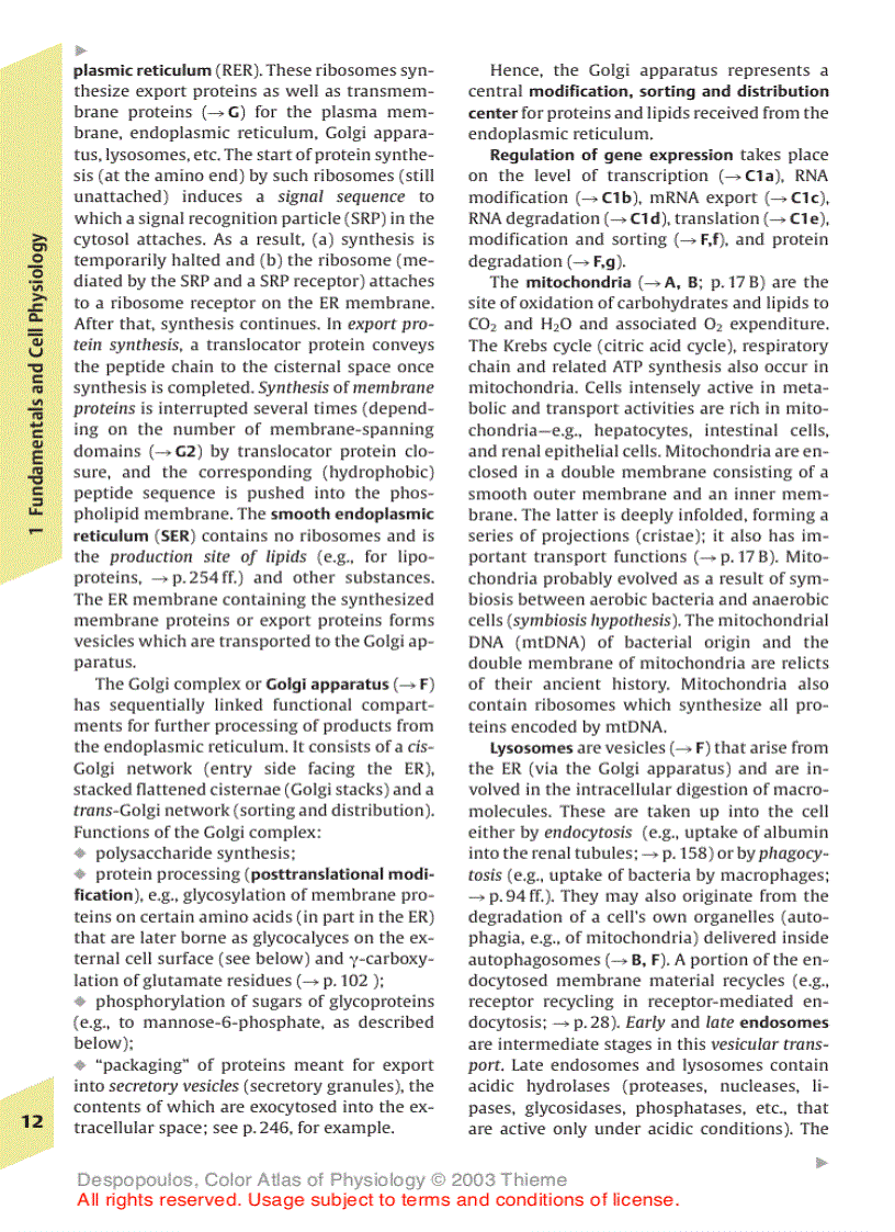 image for page Color Atlas of Physiology 5th Ed