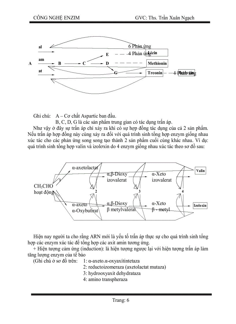 Công Nghệ Enzim