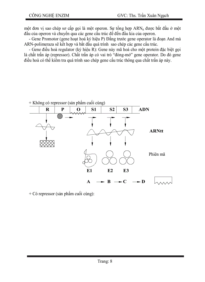 image for page Công Nghệ Enzim